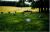 Graves on old Moore-Edwards farm in Rondo, Virginia.